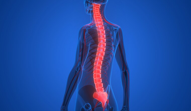 spinal-cord-human-body-shut