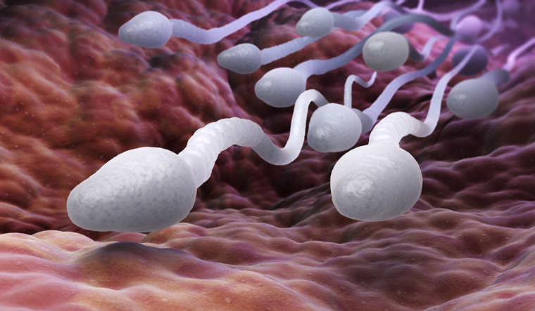 male-sperm--swimming-fallopian-tube-illustration-shut