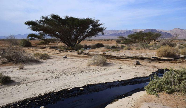 oil-fertility-oil-soaked-soil-desert-israel-reu
