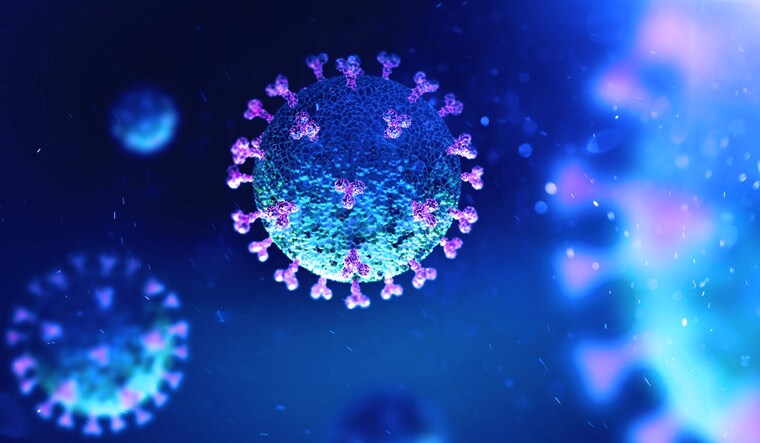 Chinese-coronavirus-COVID-19-under-the-microscope-shut