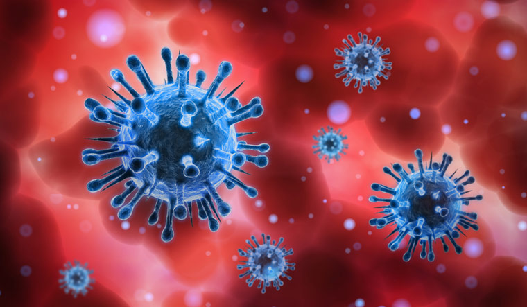 Coronavirus won't spread through newspapers: Experts - The Week