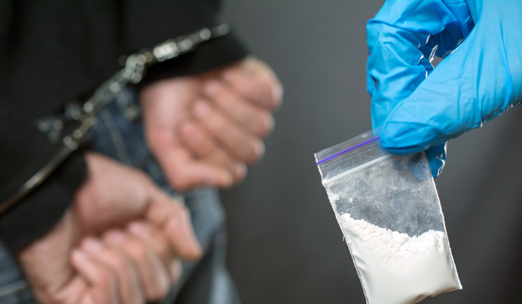 drugs-drug-narcotics-addict-narcotics-dose-cocaine-drug-trade-police-shut