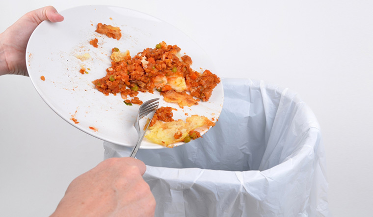 plate-food-waste-bin-throwing-away-food-shut