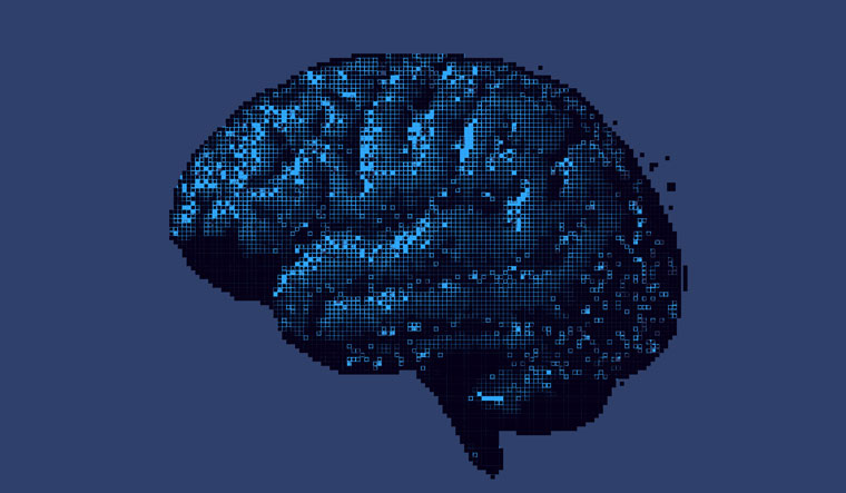 Brain-neural-networks-human-brain-shut