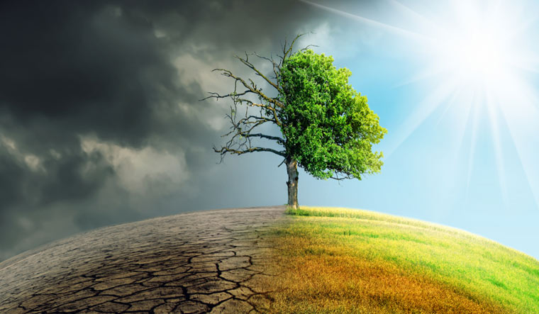 climate-change-global-earth-trees-weather-rain-water-drought-shut