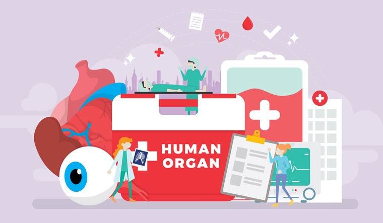human-organ-donation-heart-doctor-human-organs-shut