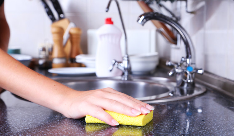 kitchen-cleaning-dish-sponge-wash-bacteria--microbes