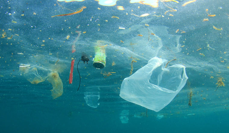 marine-sea-pollution-plastic-shut