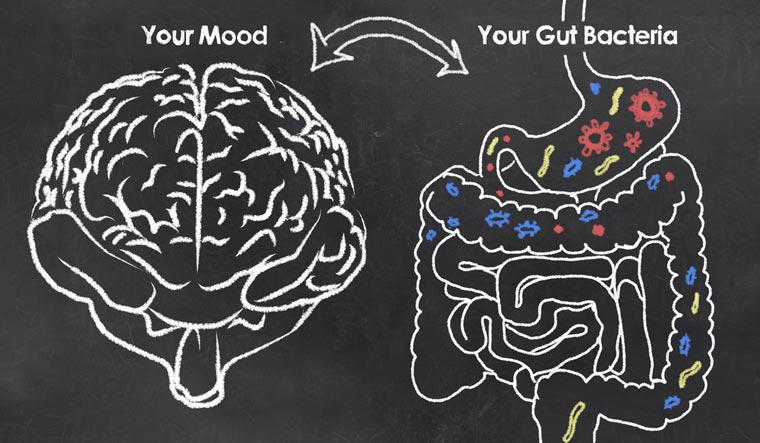 mood-gut-intestine-brain-mood-brain-cure-depression-gut-brain-link-shut