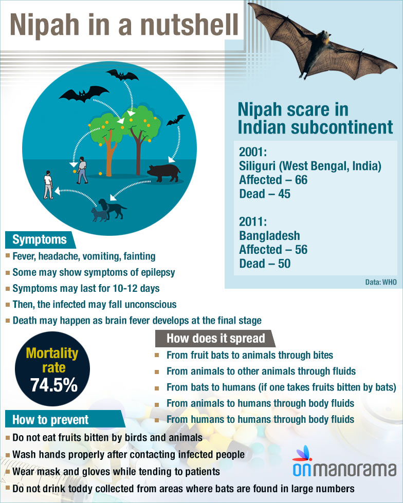 nipah-virus-graphic-manorama