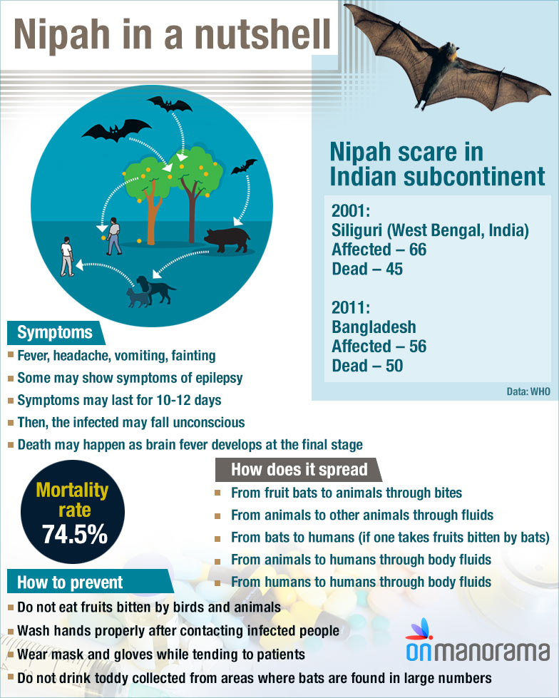 Have scientists hit upon a magical cure for Nipah? - The Week