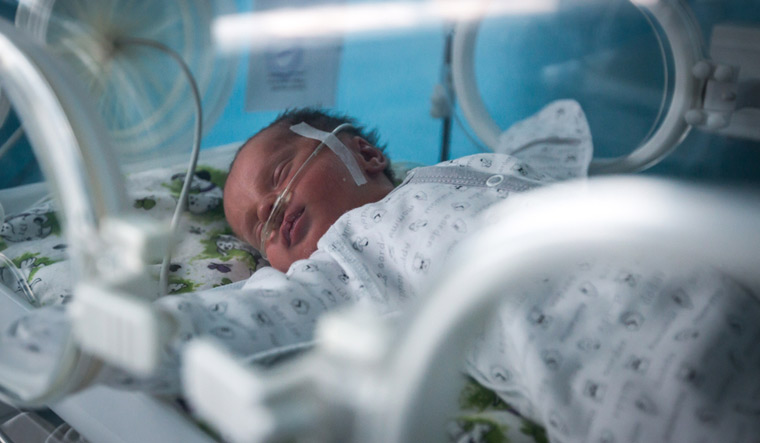 premature baby in incubator