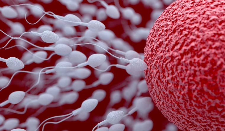 sperm-and-egg-cell-insemination-concept-3d-illustration-shut
