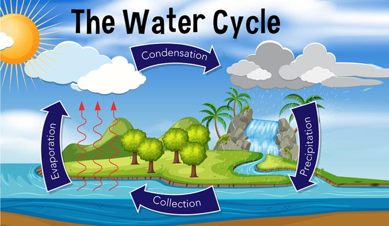 Draw diagram of 'water cycle 'and label it.​ - Brainly.in