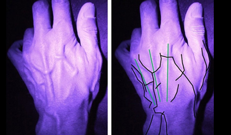 hands-researchers-will-use-vein-patterns-and-knuckle-creases-to-identify-individual-hands-Lancaster--University-PA