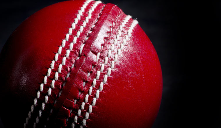 Cricket-ball-leather-shut