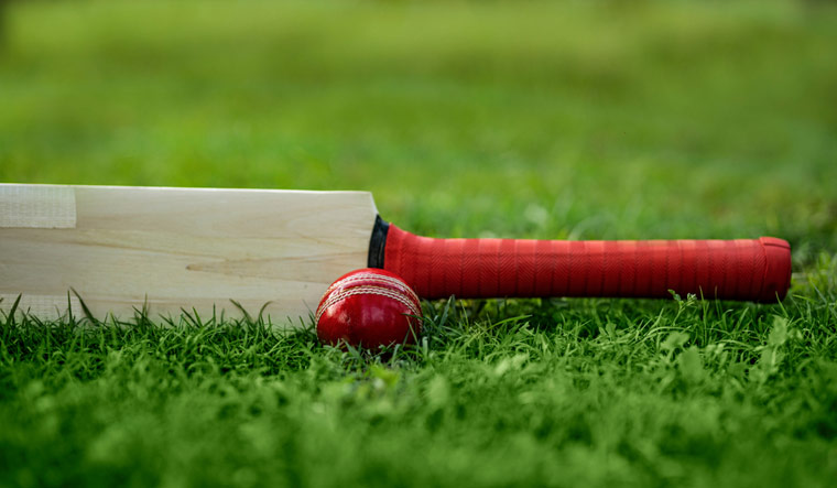 Is Cricket The National Sport Of India In All But Name The Week