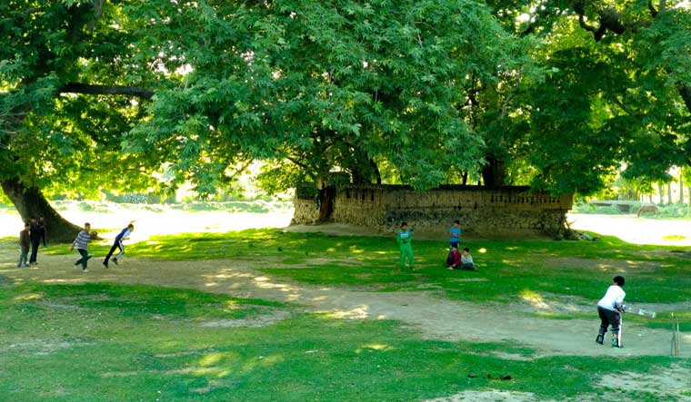 cricket-ball-bar-children-play-ground-shut