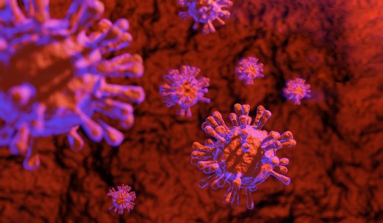 new-coronavirus-COVID-19-respiratory-system-shut