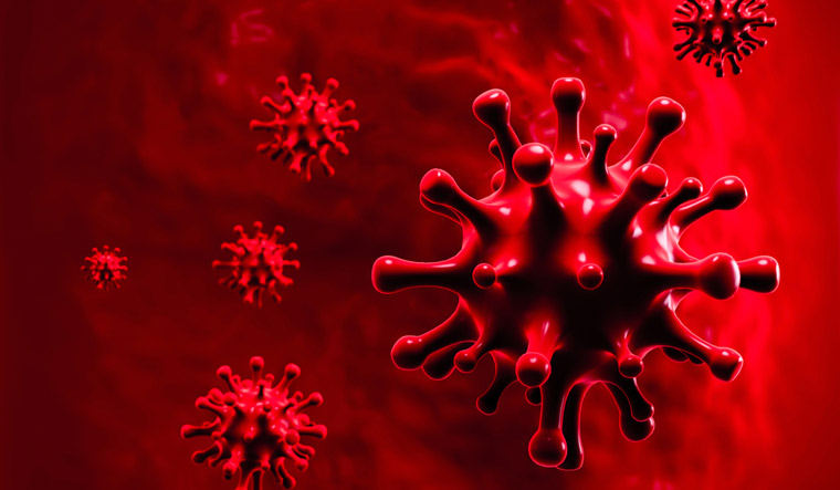 Are more virulent strains of coronavirus causing higher deaths in ...