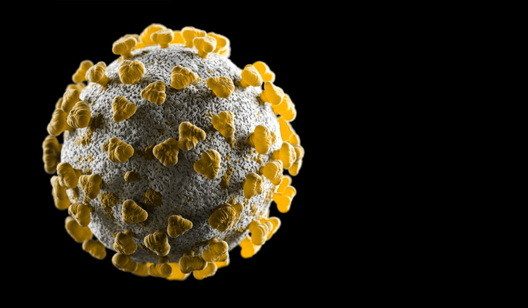 virus-cells-coronavirus-copy-space-virus-Covid-19-shut