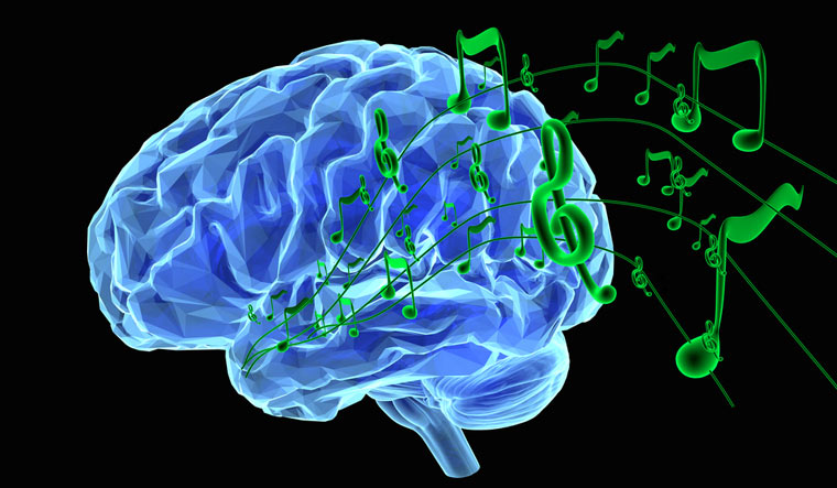 music-brain-human-brain-music-process-brain-activity-Musical-training-shut
