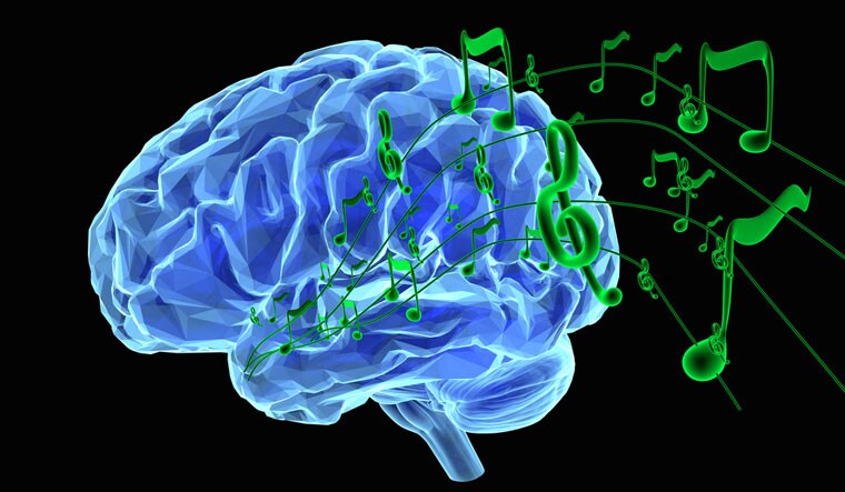 Researchers unriddle the puzzle of musical synchronisation in human brain