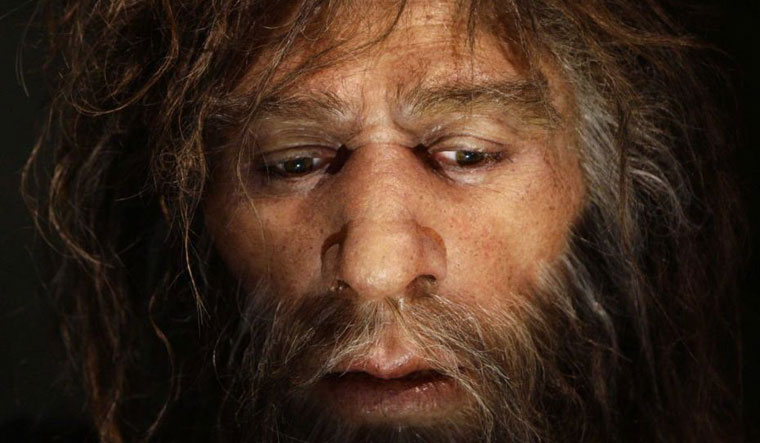 neanderthal-reuters
