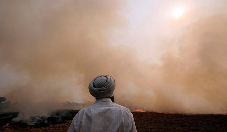 (File) Stubble burning