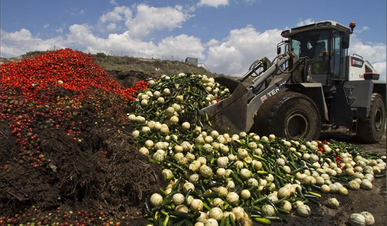 plant-waste-discarded-vegetable-digger-reu