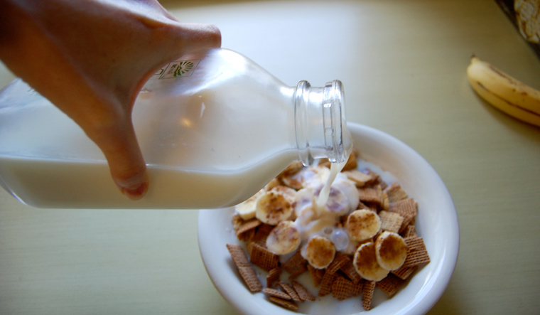 Milk representational image