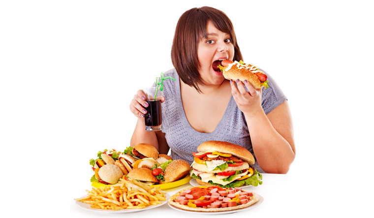 fast-food-high-fat-diet-fatty-obese-obesity-eat-shut