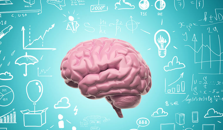 human-brain-speech-ideas-idea-thought-process-concepts-shut