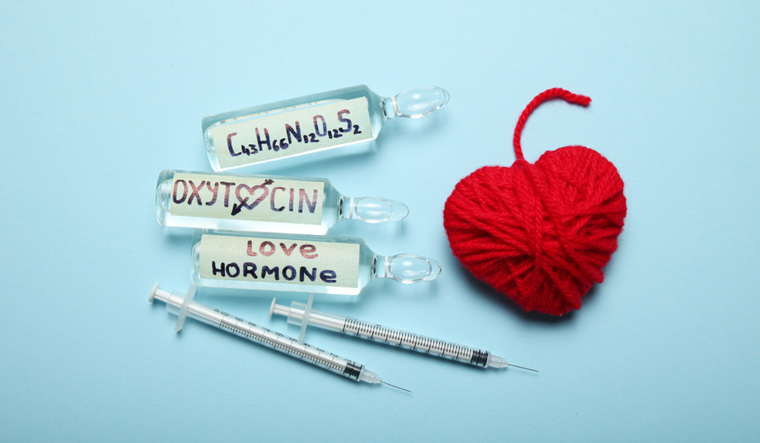 love-hormone-cuddle-hormone-oxytocin-love-shut