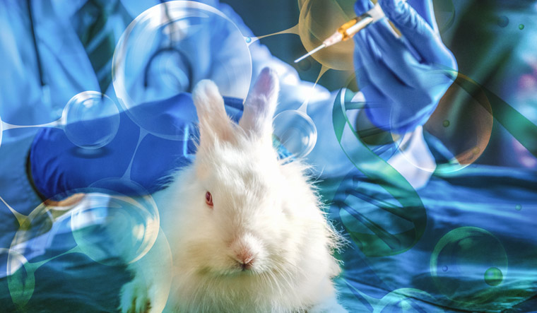 testing-toxic-chemicals-animals-medicine-research-shut