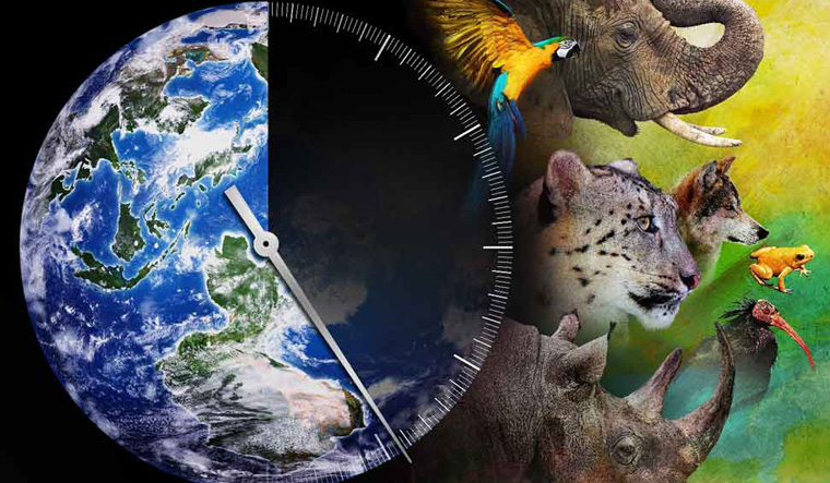 humans-putting-1-700-animal-species-at-greater-extinction-risk-study