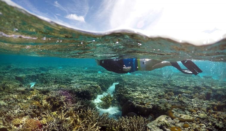 A tourist snorkels above coral in the lagoon located on Lady Elliot Island on the Great Barrier Reef, 80 kilometers north-east from the town of Bundaberg in Queensland | Reuters