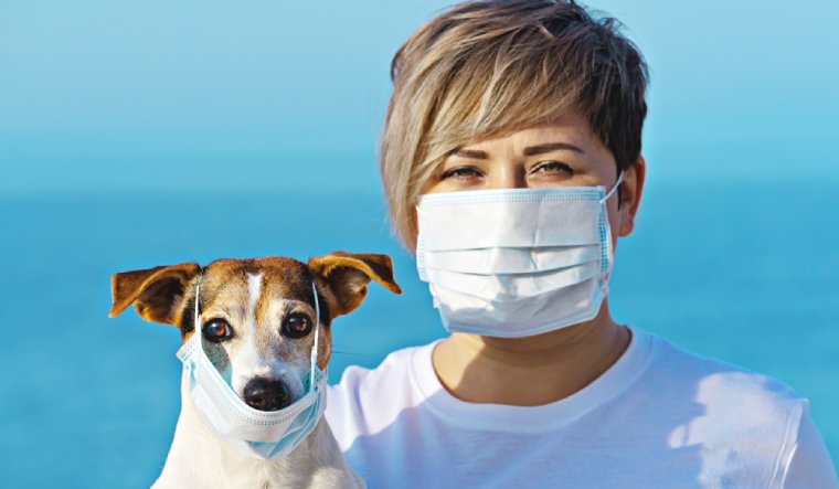 dog-mask-virus-infection-shutterstock