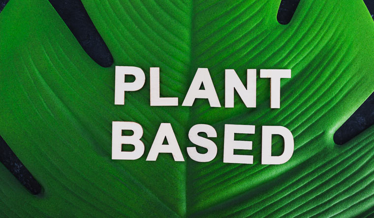 plant-based-plastic-shut