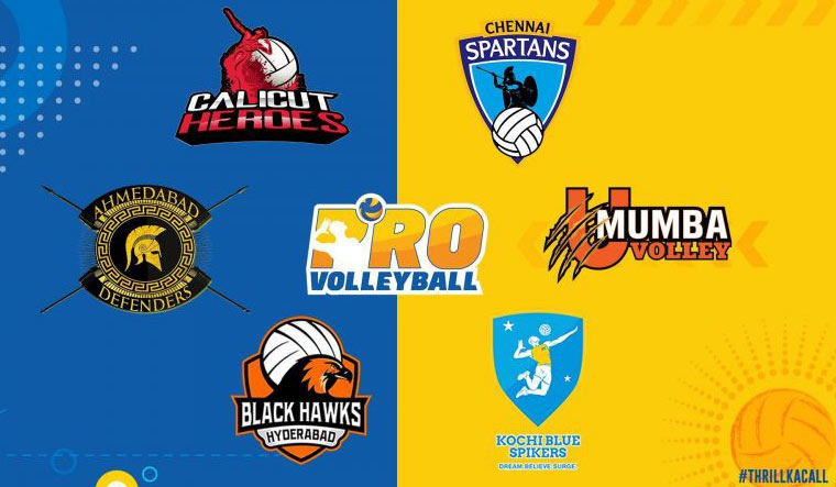 pro-volleyball-league