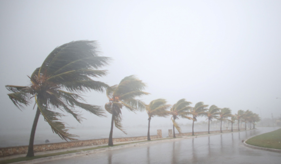 STORM-IRMA/CUBA