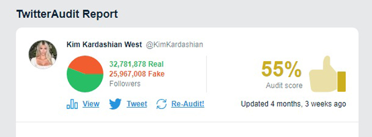 kim-TwitterAudit