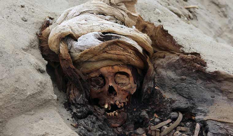 child-skeleton-remains-AFP