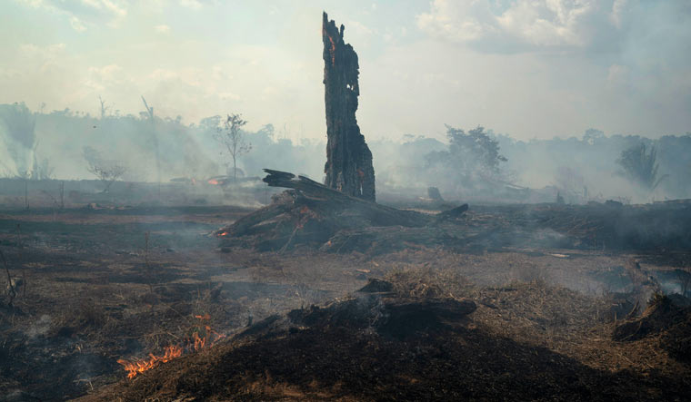 Smouldering-fire-Brazil-Amazon-AP