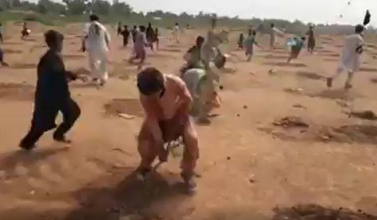 Screengrab of the video showing protesters removing the saplings planted by volunteers at Khyber