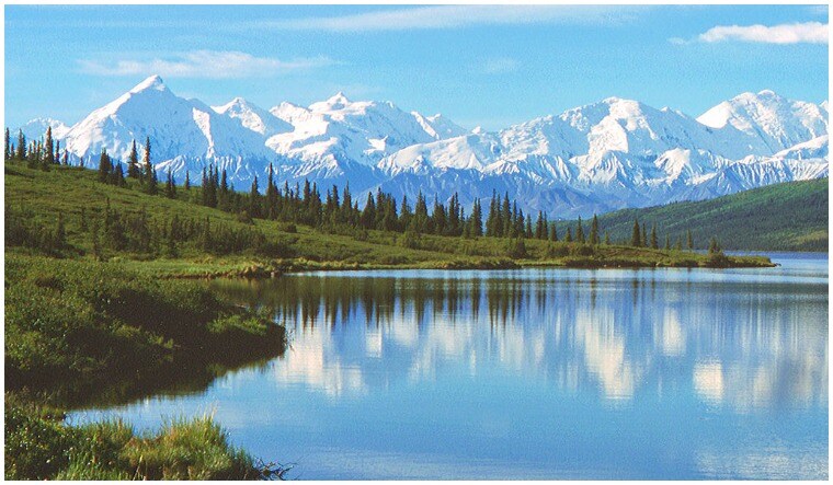 Denali National Park | Wikimedia Commons