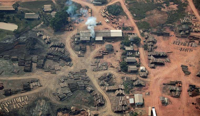 An aerial view of logs cut from Amazon rainforest near of the road BR-319 highway in city of Realidade, Amazonas state, Brazil, August 22, 2019 | Reuters