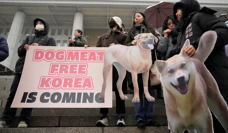 South Korea dog meat ban