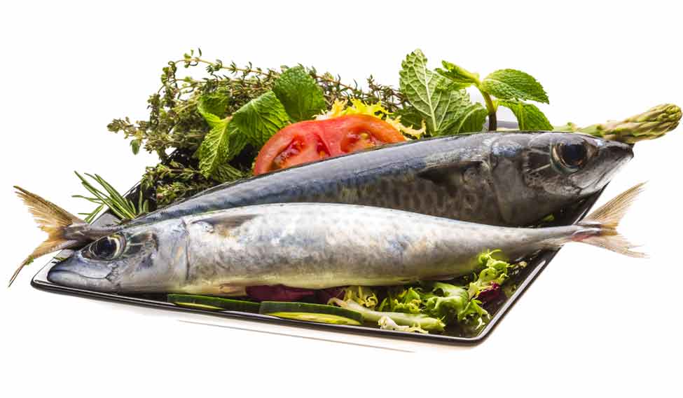 sardine_134188472 sardine_134188472