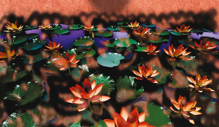 37-The-lotus-distraction-new